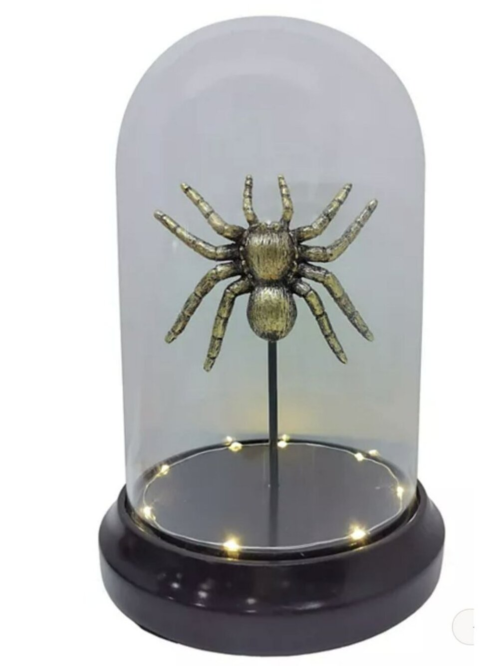 Decorative Spider Dome With LED Lights - Halloween Tabletop Display